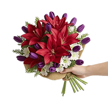 Crimson Lily Glow