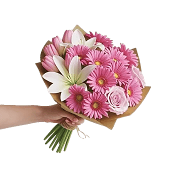 Blossom Harmony Display