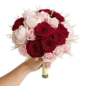 Peony Petal Harmony