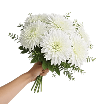Ivory Blossom Radiance
