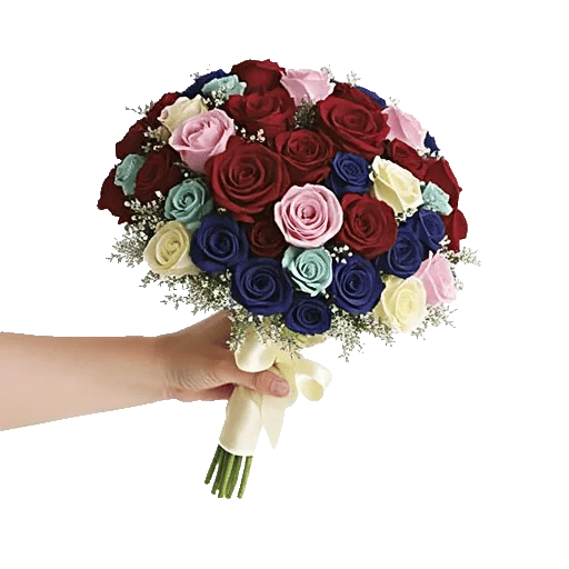 Blushing Rose Symphony