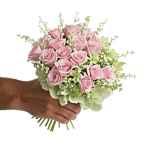 Pink Pastel Roses