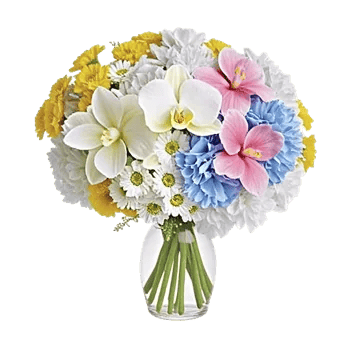 Ivory Blossom Radiance