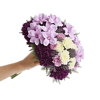 Pastel Pink Roses