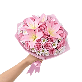Blushing Rose Symphony
