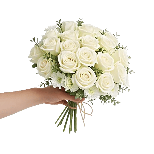 Ivory Garden Grace
