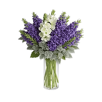 Lavender Bloom Grace