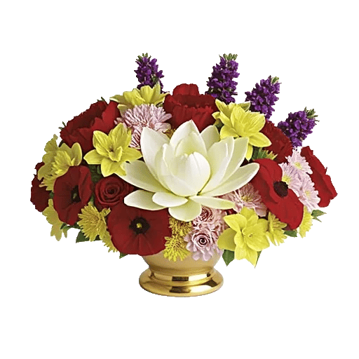 Blossom Harmony Display