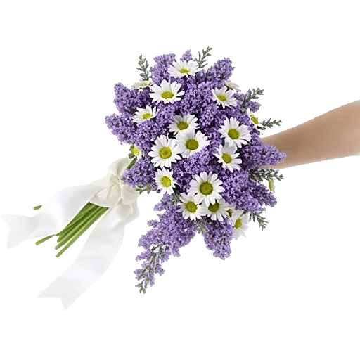 Delicate Petal Cascade