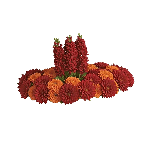 Radiant Bloom Cascade