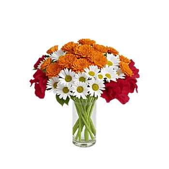 Petal Radiance Bliss