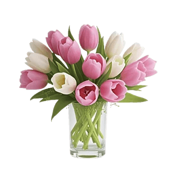 Velvet Tulip Display