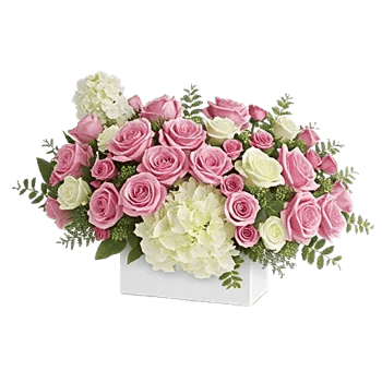 Delicate Petal Cascade