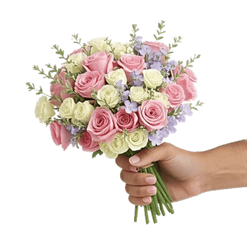Pink Pastel Roses