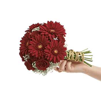 Crimson Blossom Harmony