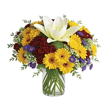 Graceful Lily Display