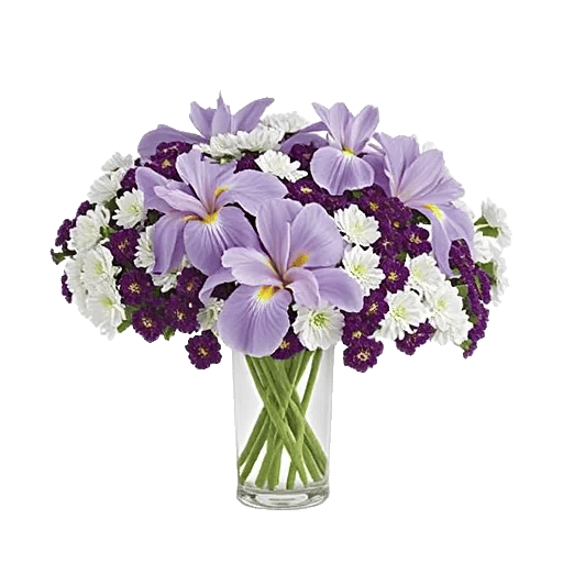 Ivory Blossom Radiance