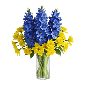 Serenity Blossom Grace