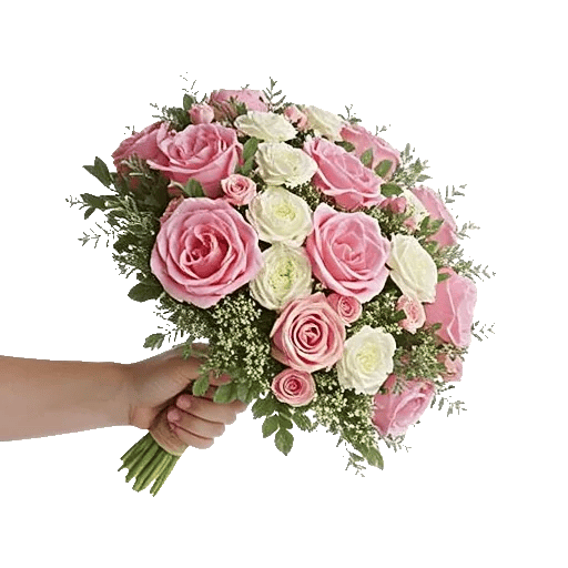 Pastel Pink Roses