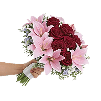 Crimson Rose Elegance