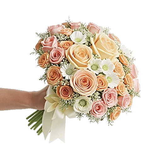 Pastel Pink Roses