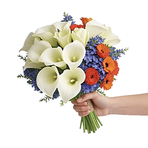 Elegant Calla Lilies