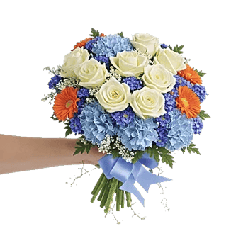 Serene Petal Harmony