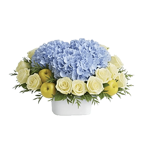 Serene Petal Harmony