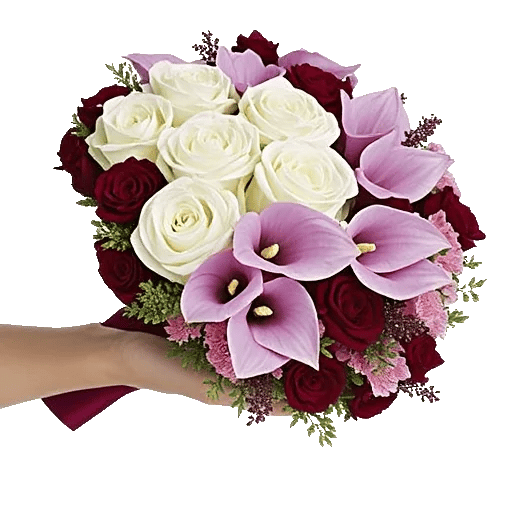 Elegant Calla Lilies