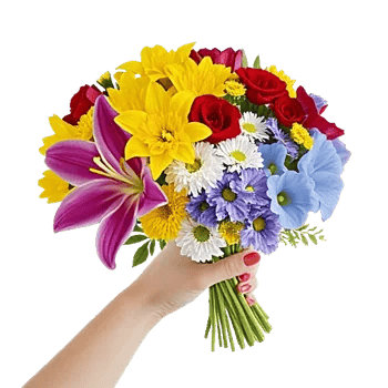 Blossom Harmony Display