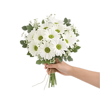 Ivory Garden Grace