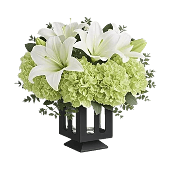 Ivory Blossom Radiance