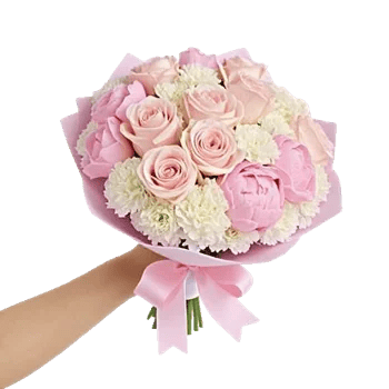 Pastel Pink Roses