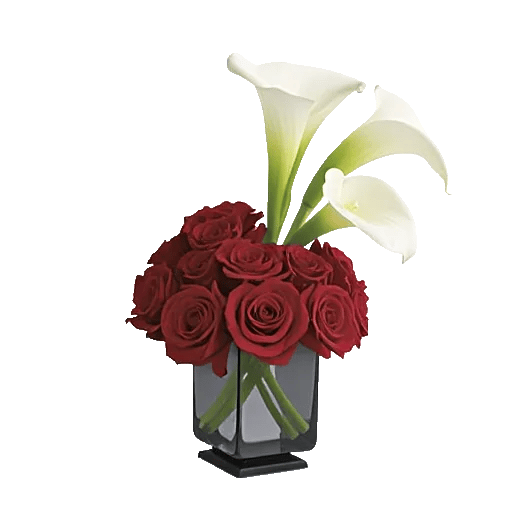 Elegant Calla Lilies