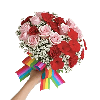 Blushing Rose Symphony