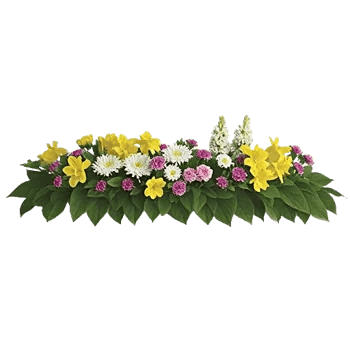 Delicate Petal Cascade