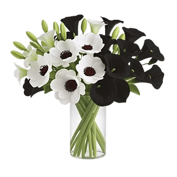 Elegant Calla Lilies