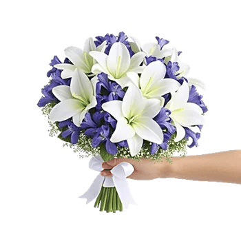 Ivory Blossom Radiance