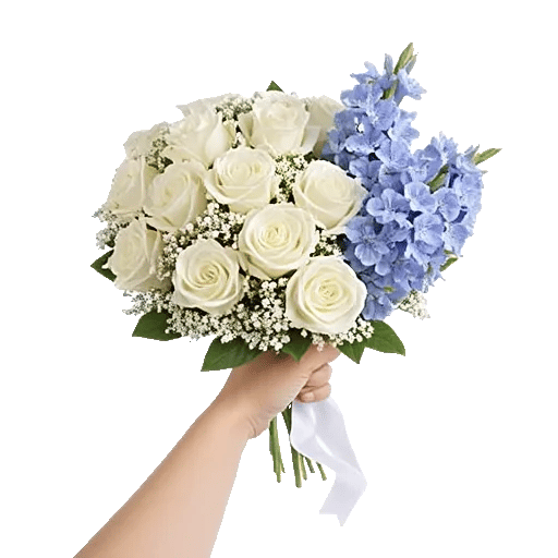 Blossom Petal Serenity