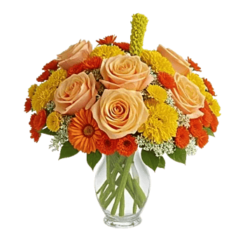 Petal Radiance Bliss