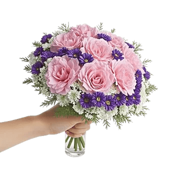 Pastel Pink Roses
