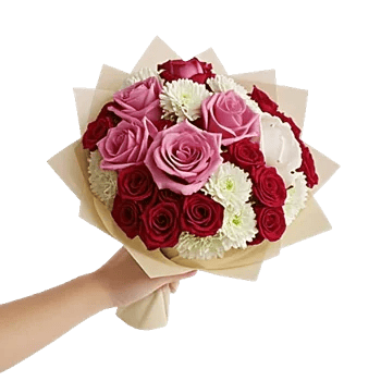 Pink Pastel Roses