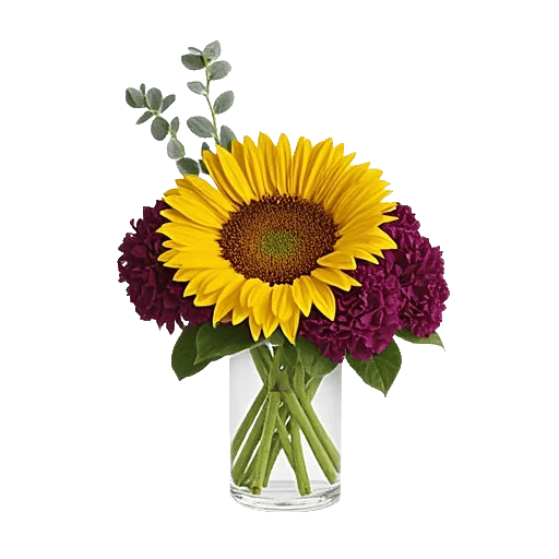 Radiant Bloom Cascade