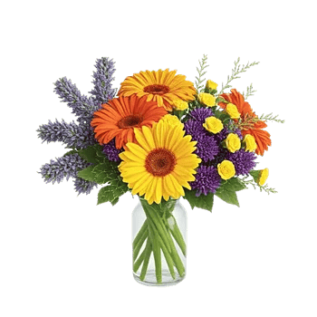 Serene Petal Harmony