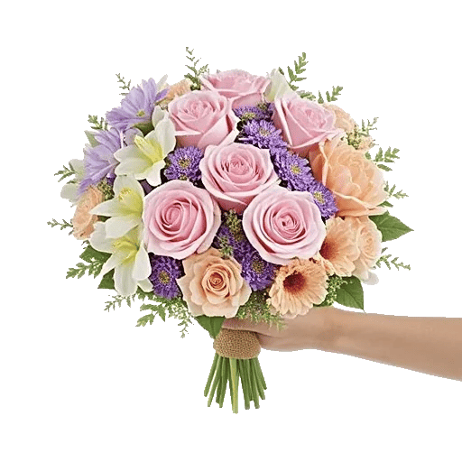 Pastel Pink Roses