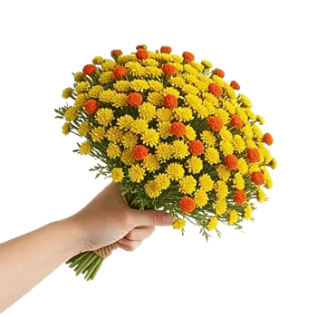 Petal Harmony Bliss