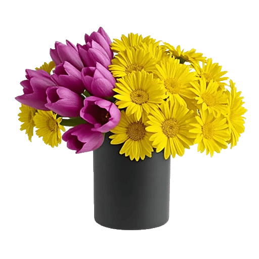 Velvet Tulip Display