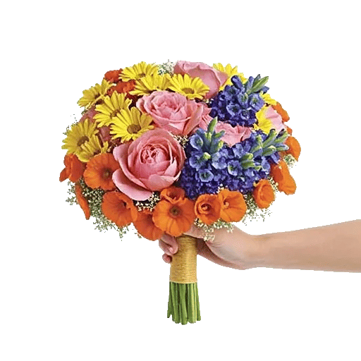 Petal Harmony Bliss