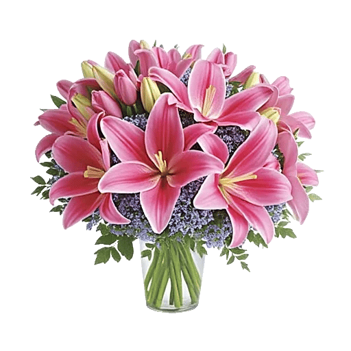 Blossom Harmony Display