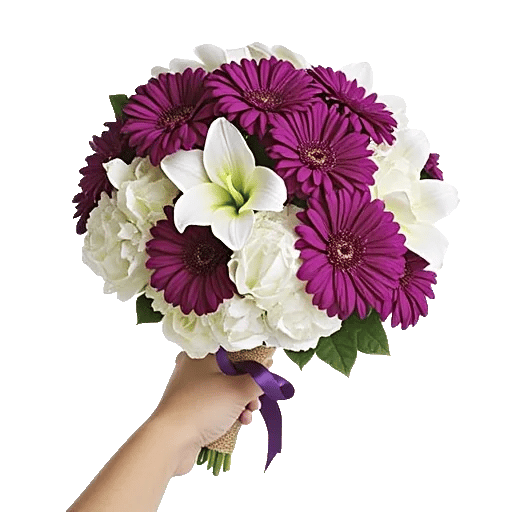 Blushing Rose Symphony